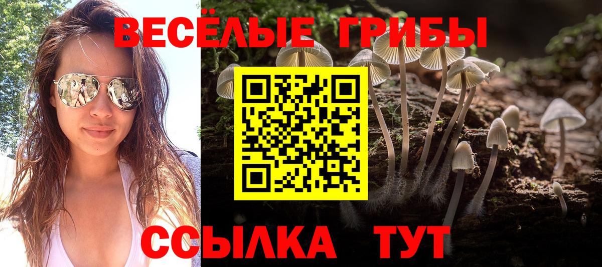 Воткинск  закладки  Вход с VPN  Галлюциногенные грибы MAGIC MUSHROOMS 